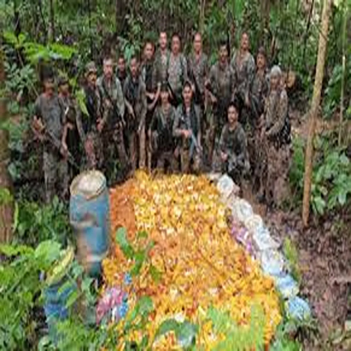 Counterinsurgency saranda forest faces ongoing threat
