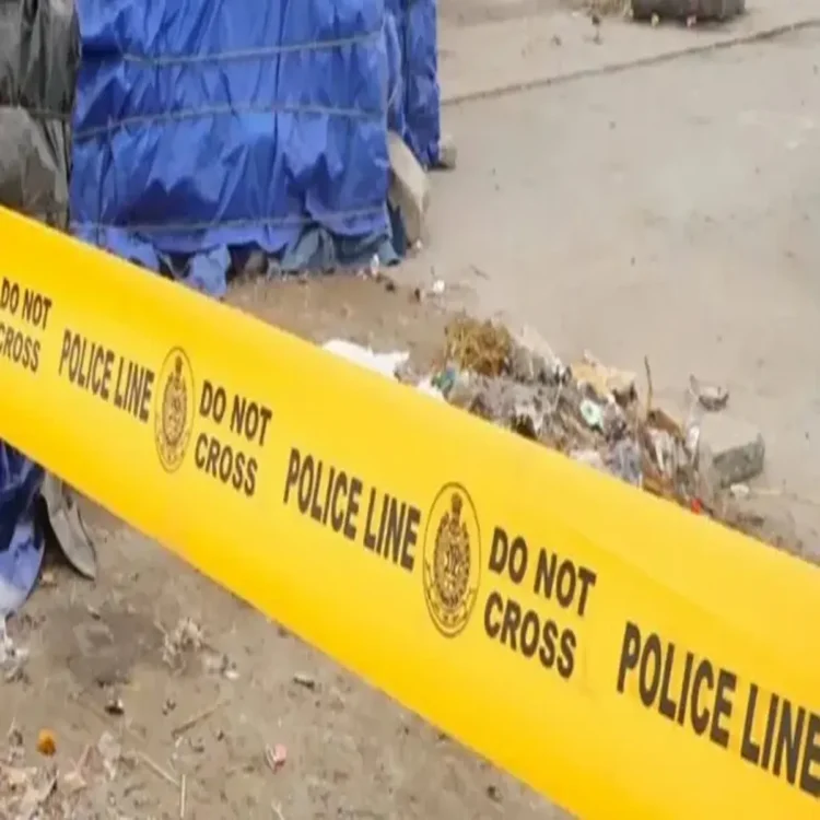 Crash investigation delhi truck driver arrested
