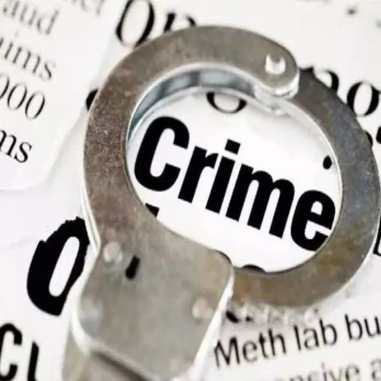 Crime report ap crime drop 2024