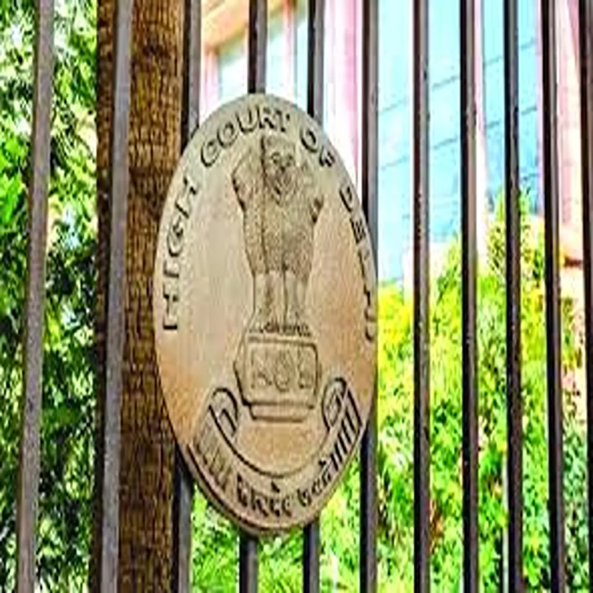 Immigration policy delhi high court gives
