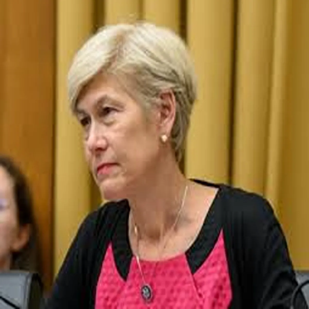 Diplomacy lawmaker deborah ross pushes stronger