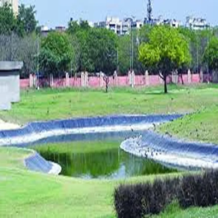 Dwarka pond children drowning incident