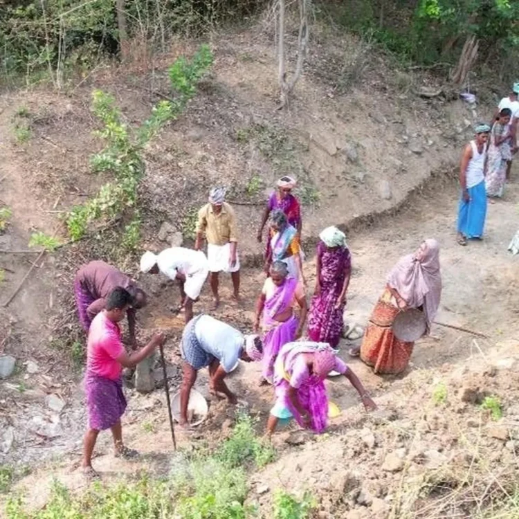 Employment scheme rural jobs framework draft