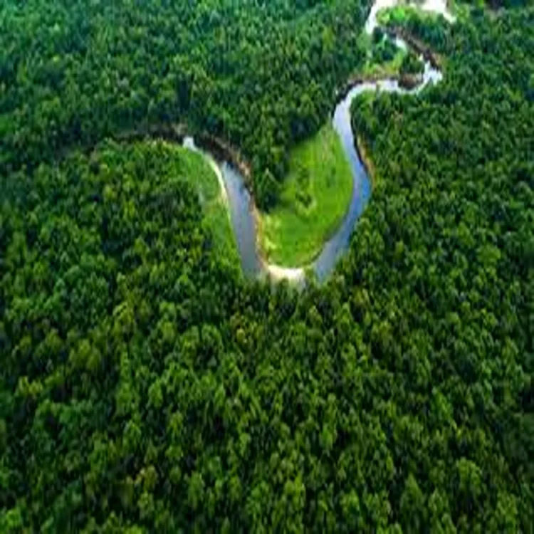 Environment chhattisgarh forest economy growth