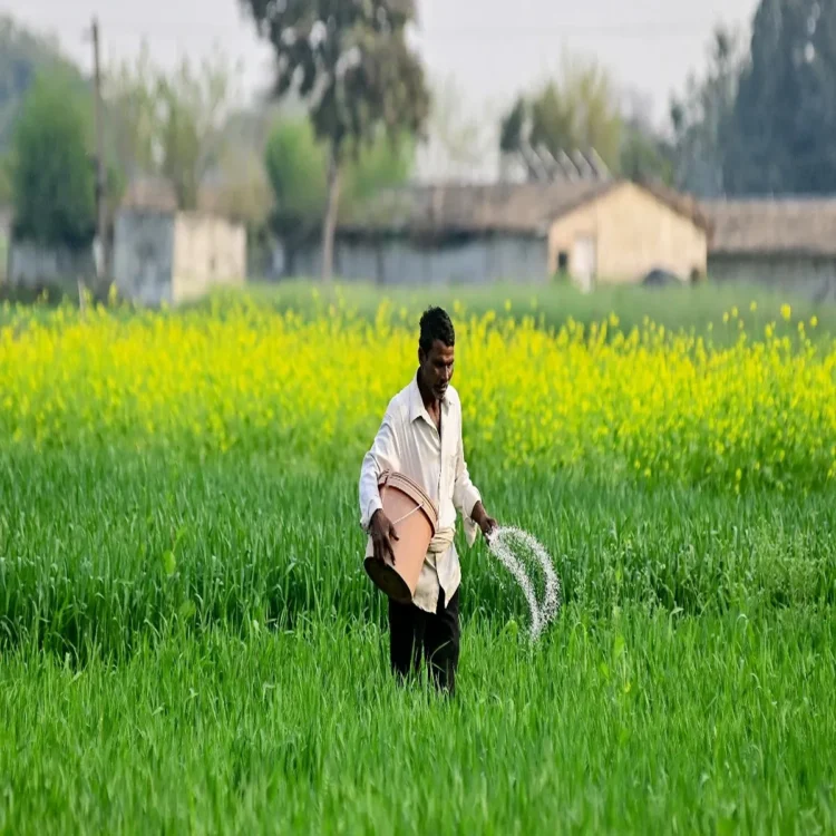 Fertilizer crisis urea alternatives india