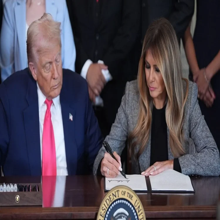 Fostercare trump support foster youth
