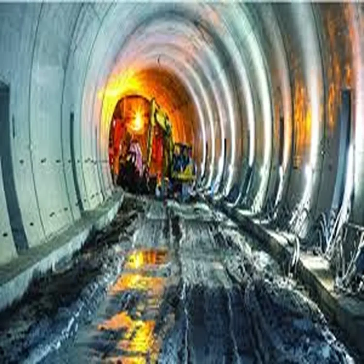Government tunnel expert panel