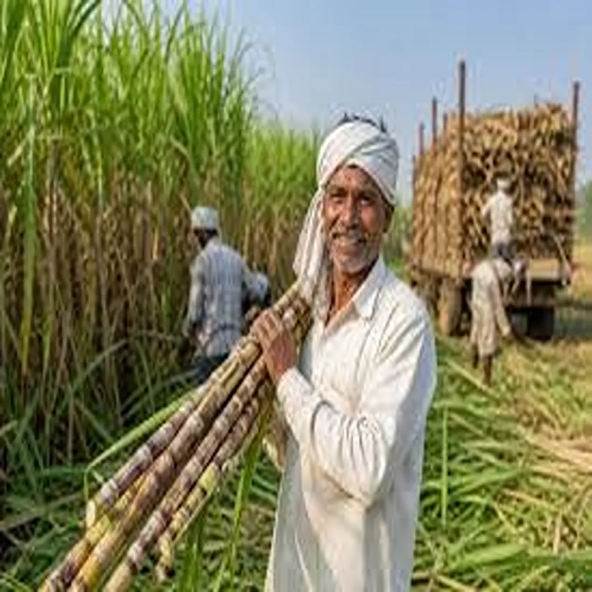 Agriculture gujarat government clears long pending