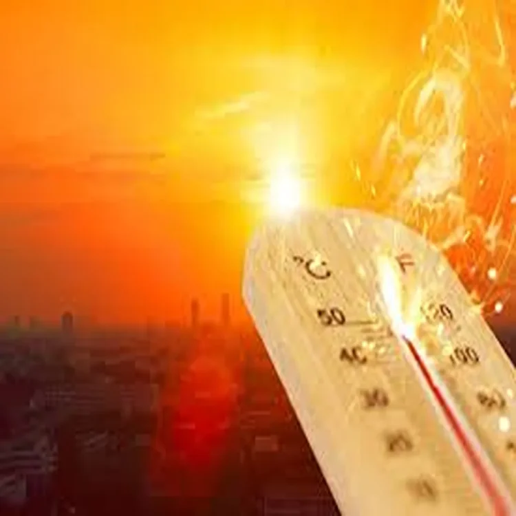 Heatwave ahmedabad heat alerts