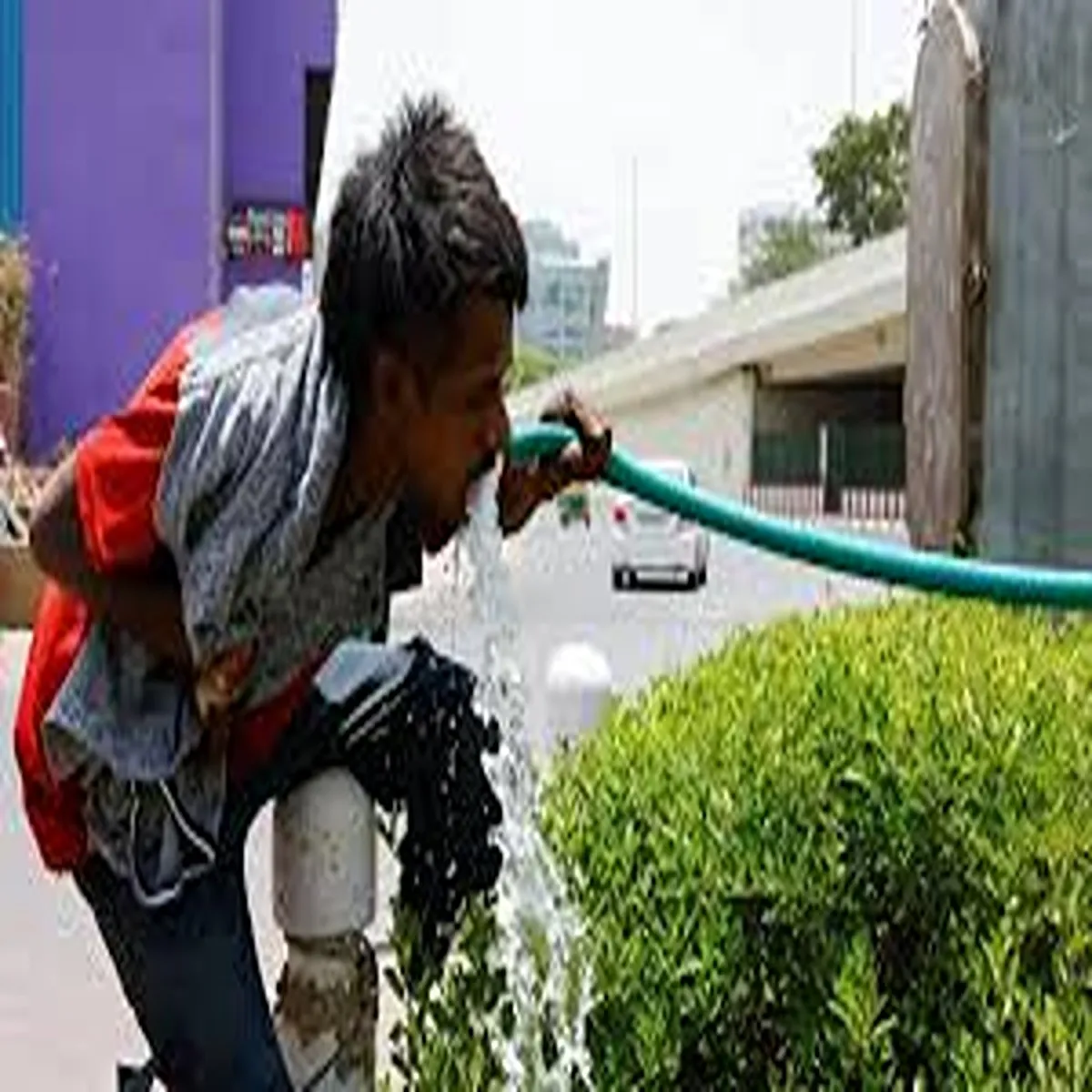 Heatwave delhi residents struggle amid rising