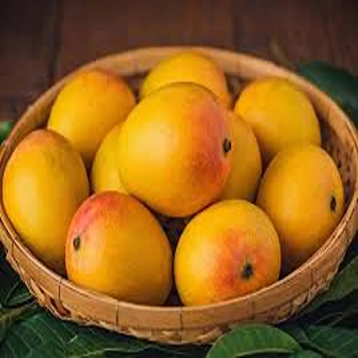 Mangoes indian varieties expand reach across