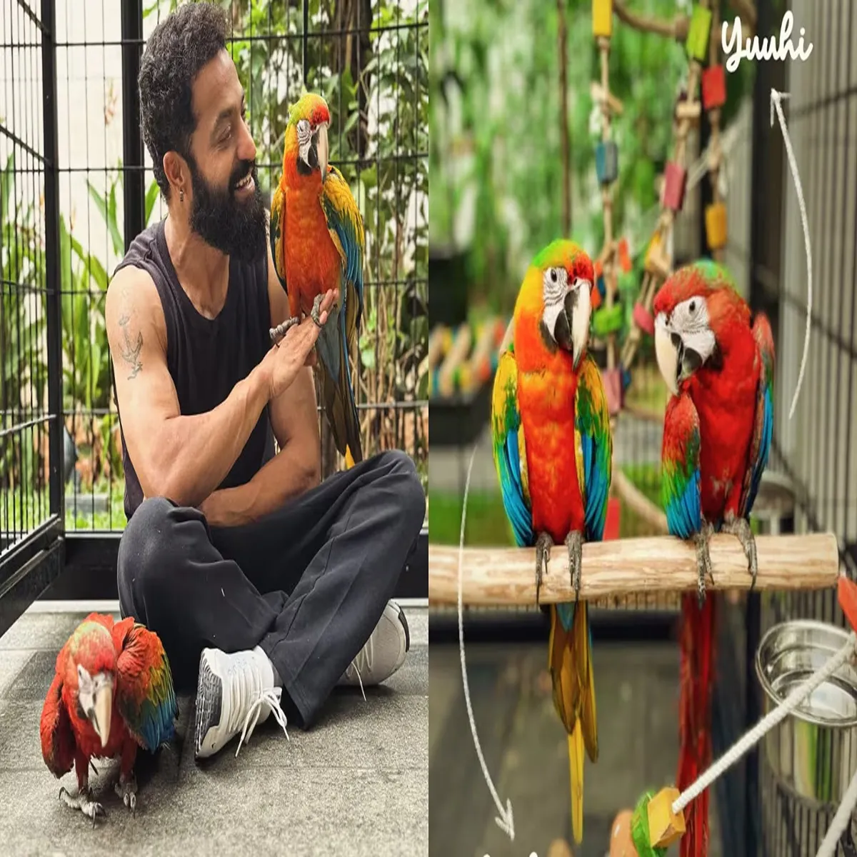 Entertainment ntr celebrates birthday new pets