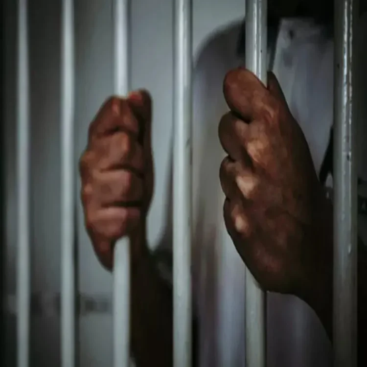 Judiciary delhi court bail verification reform