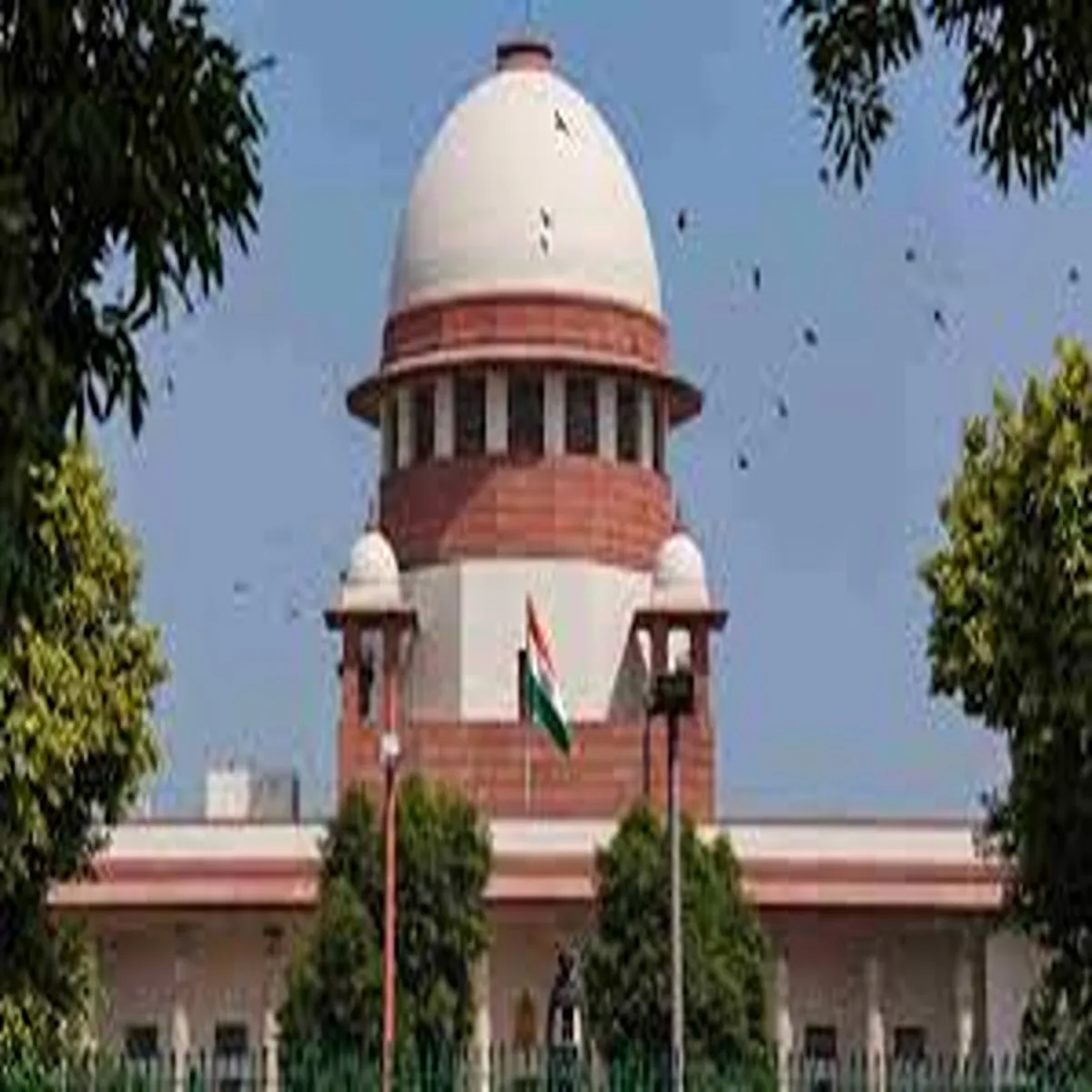 Judiciary supreme court encourages wider shift