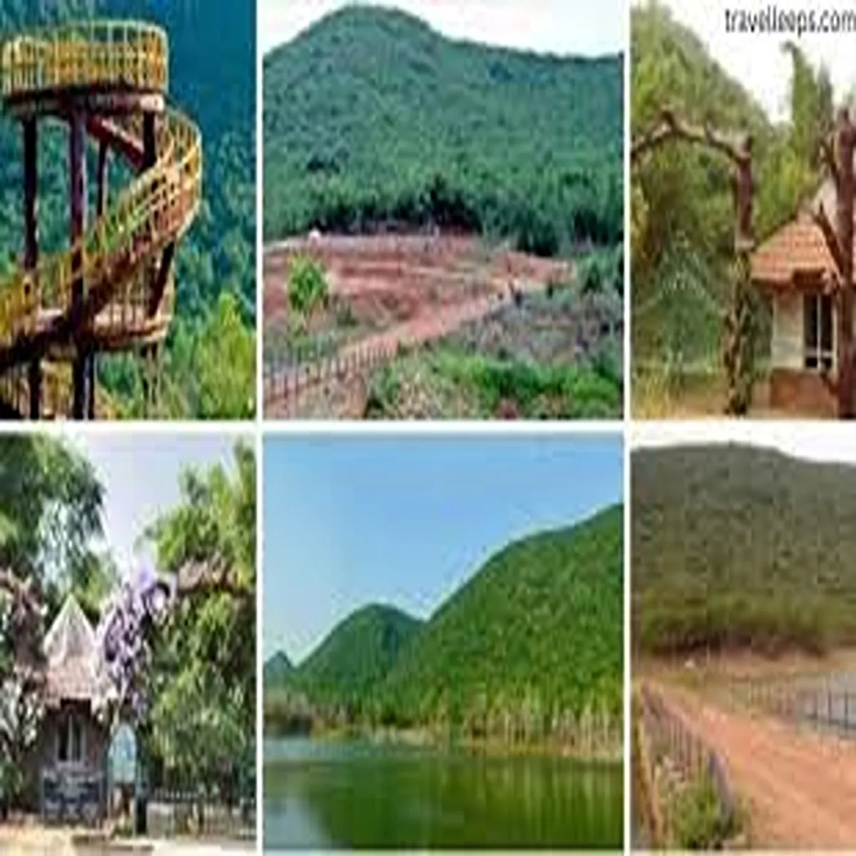 Tourism eco friendly night stay plans