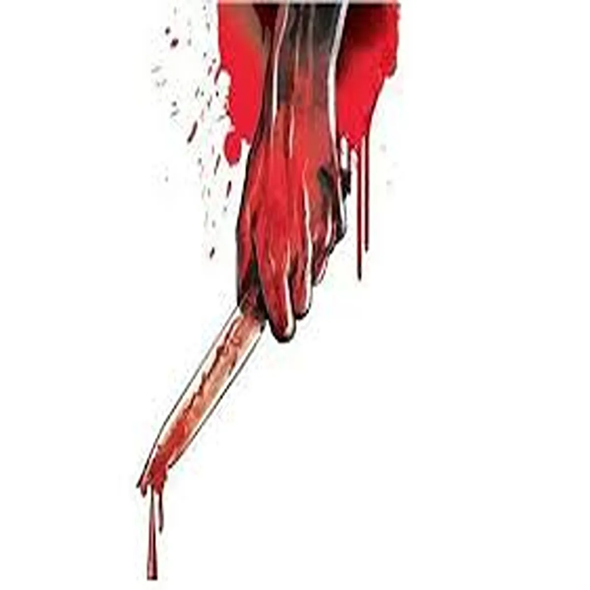 Crime knife attack army personnel leads
