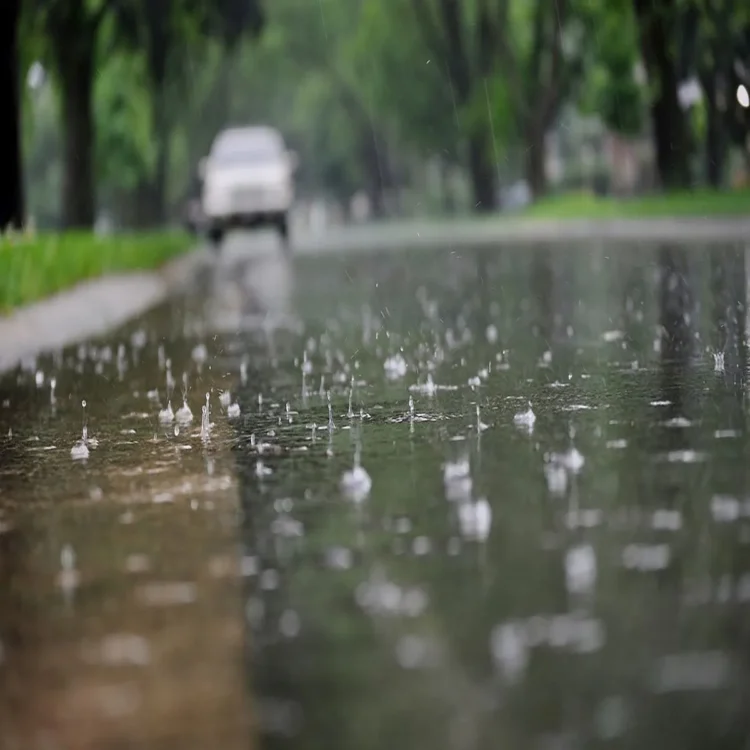 Madhya pradesh rain relief
