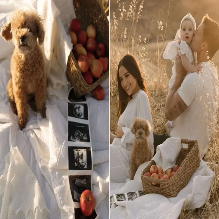 Olivia culpo second baby news