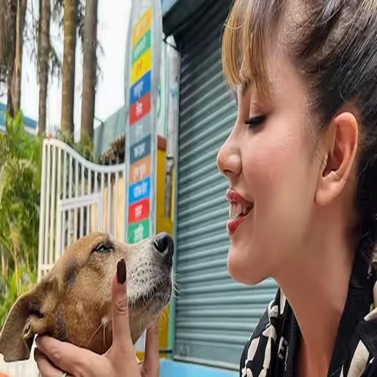 Petcare munmun dutta stray dog tribute