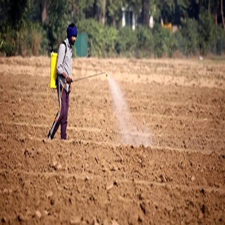 Punjab economy 11zon 11zon 11zon