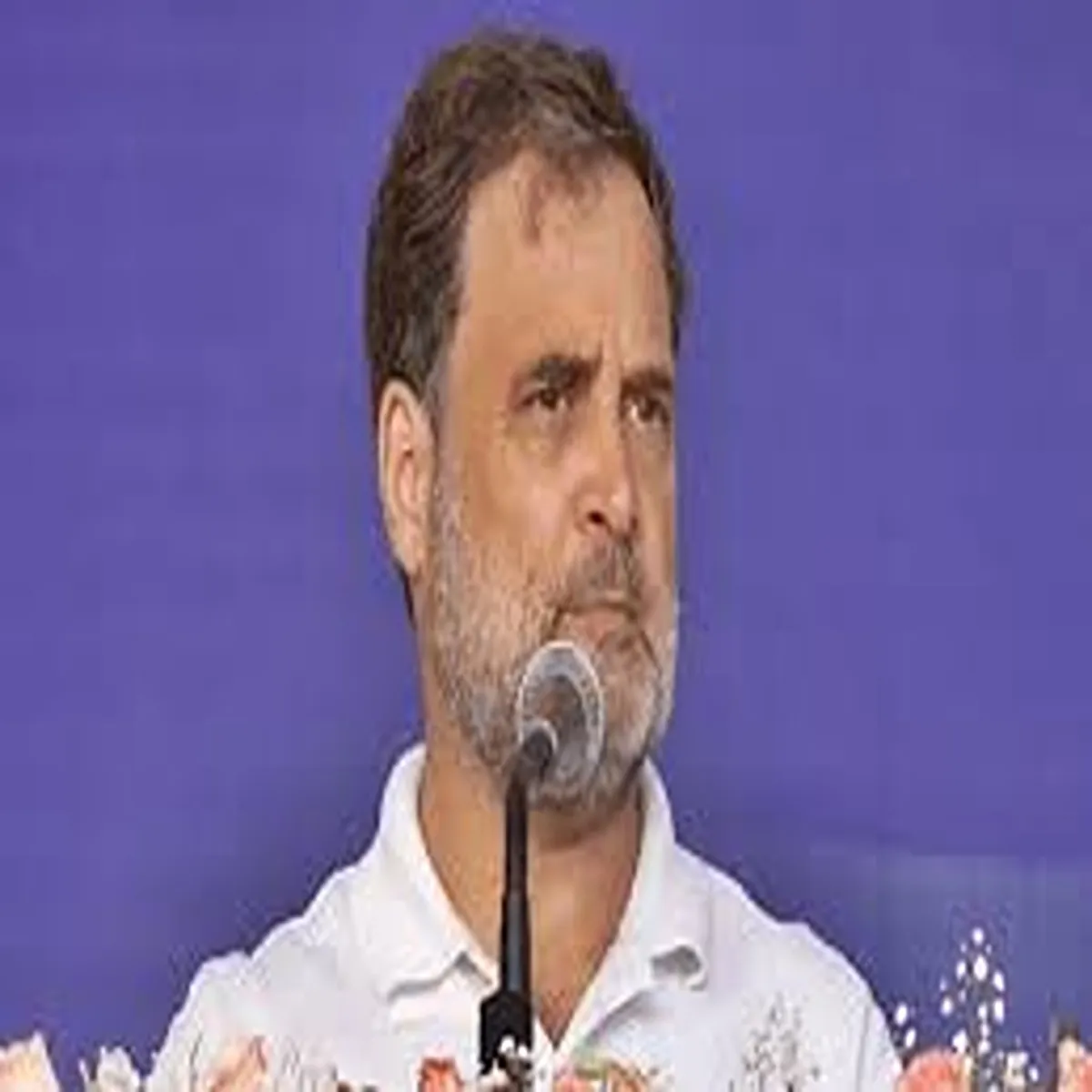 Elections rahul gandhi raises concerns over