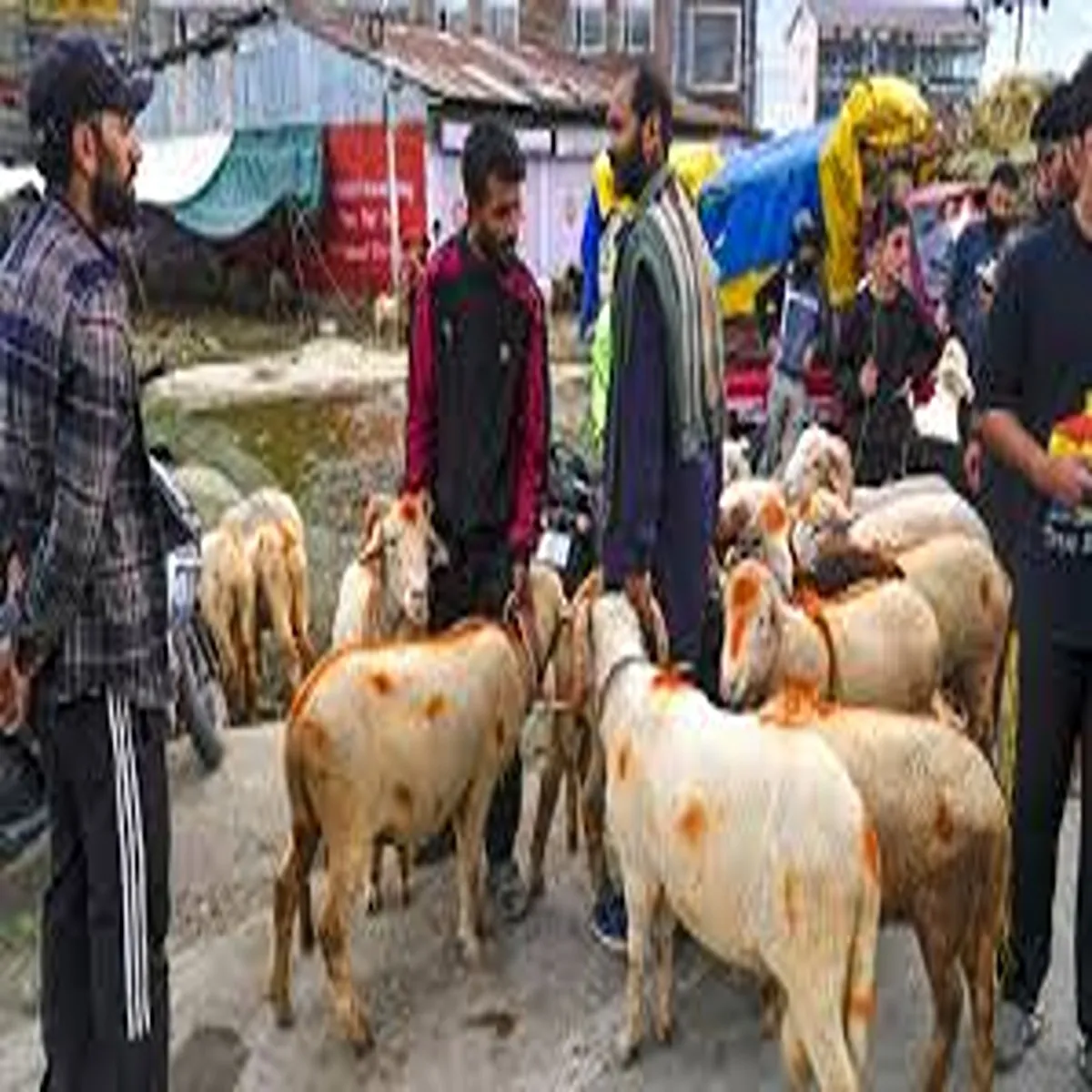 Securityrules delhi issues strict bakrid guidelines