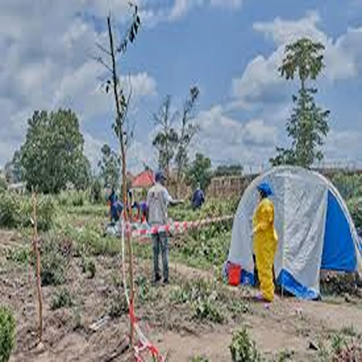 Healthalert south korea expands congo travel