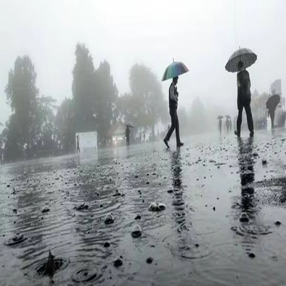 Weather update tamil nadu braces increased
