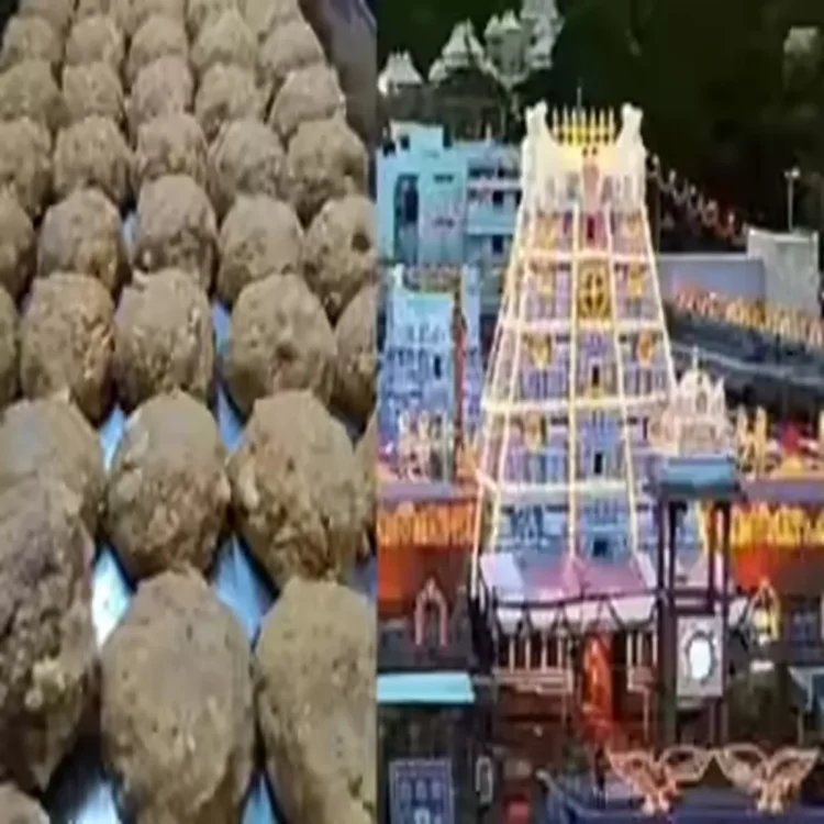 Tirupati laddu probe report release demand
