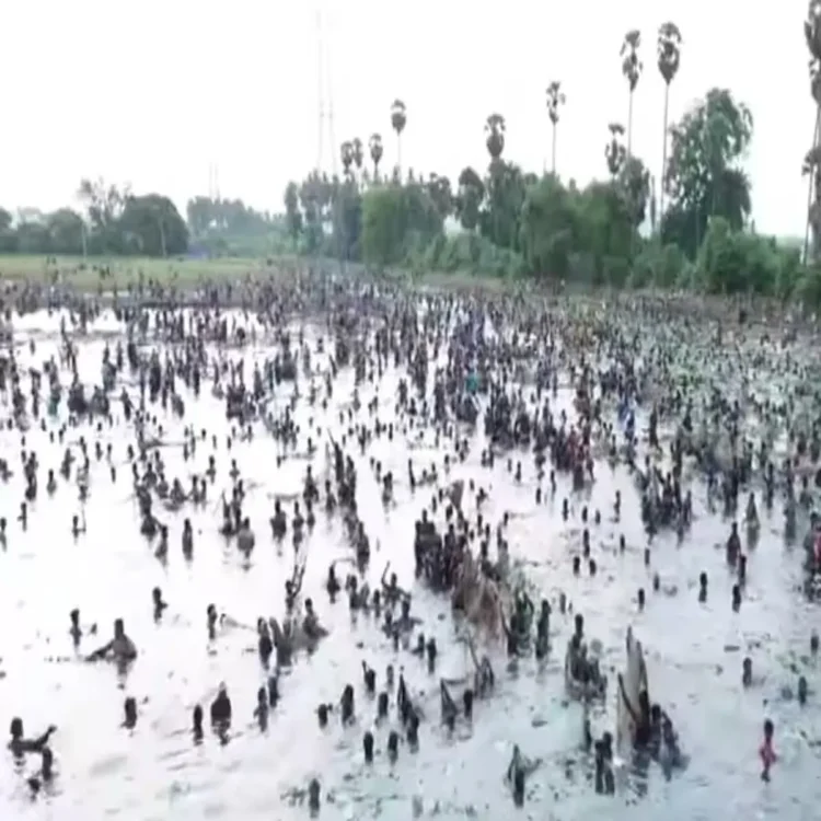 Tourism tamilnadu fishing festival traditions