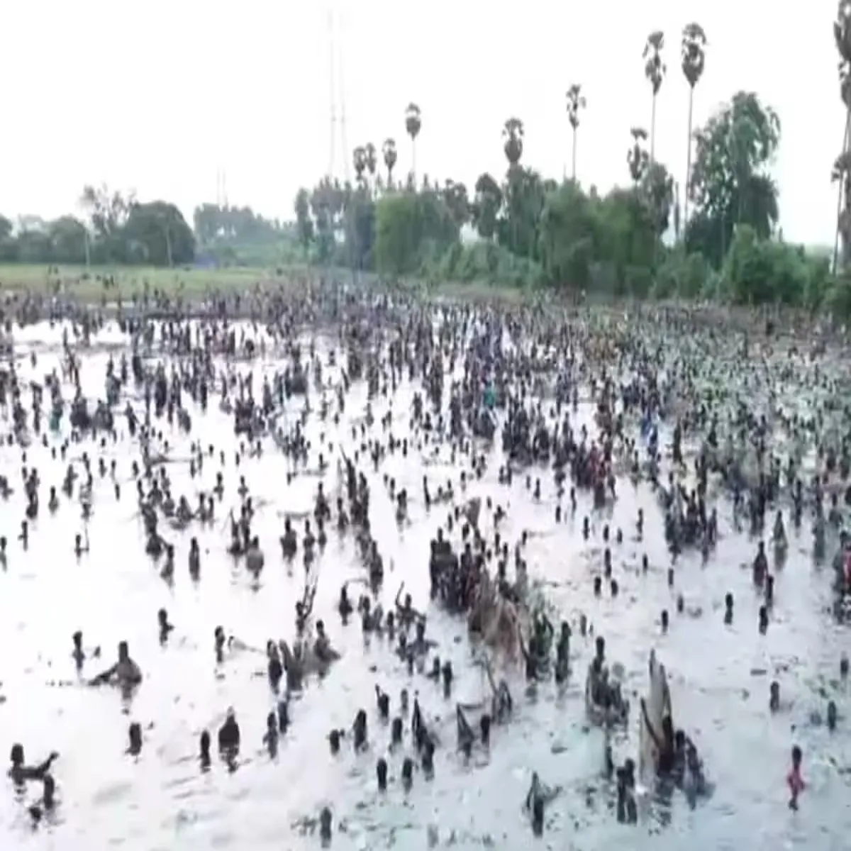 Tourism tamil nadu villages celebrate ancient
