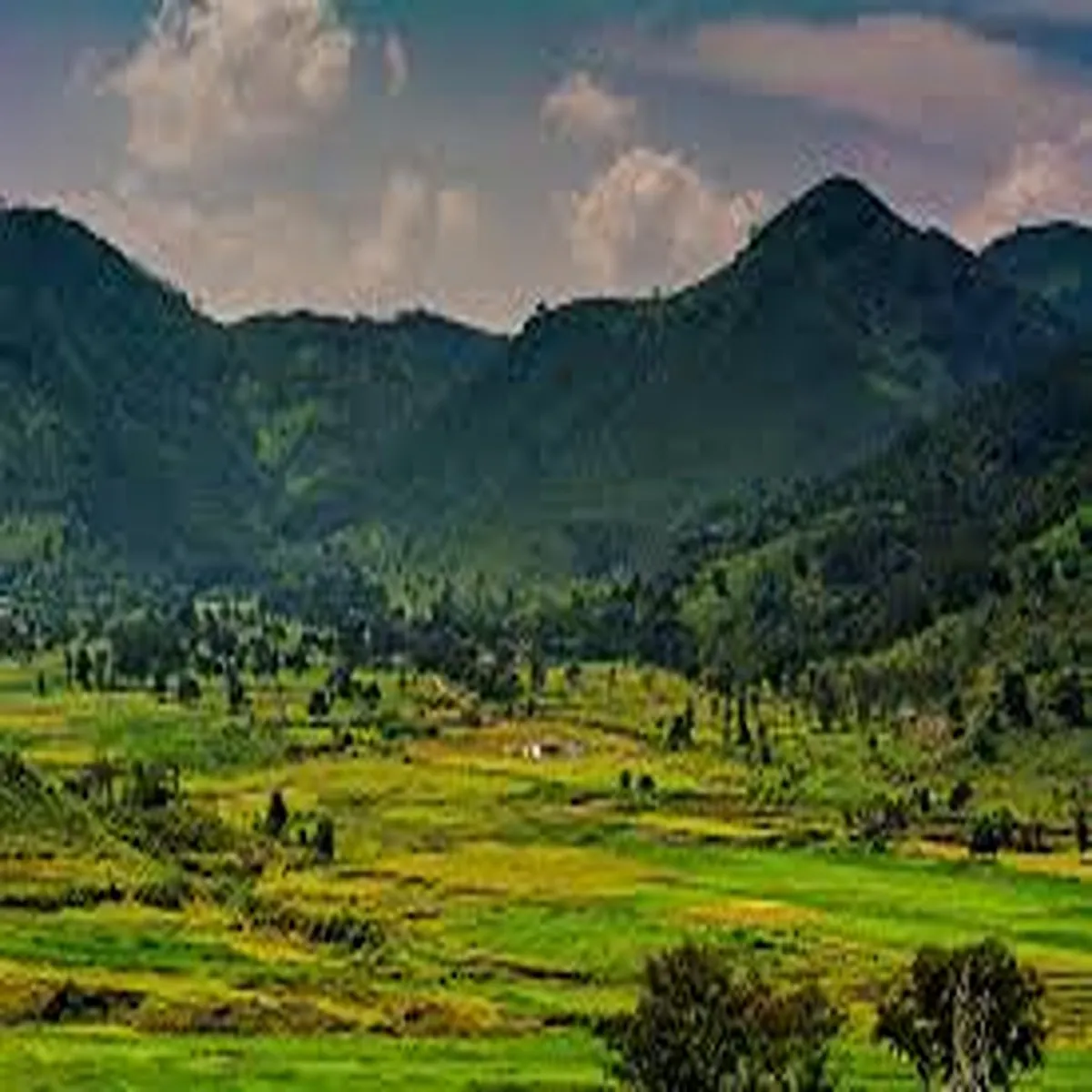 Tourism tribal homestay initiative gains momentum