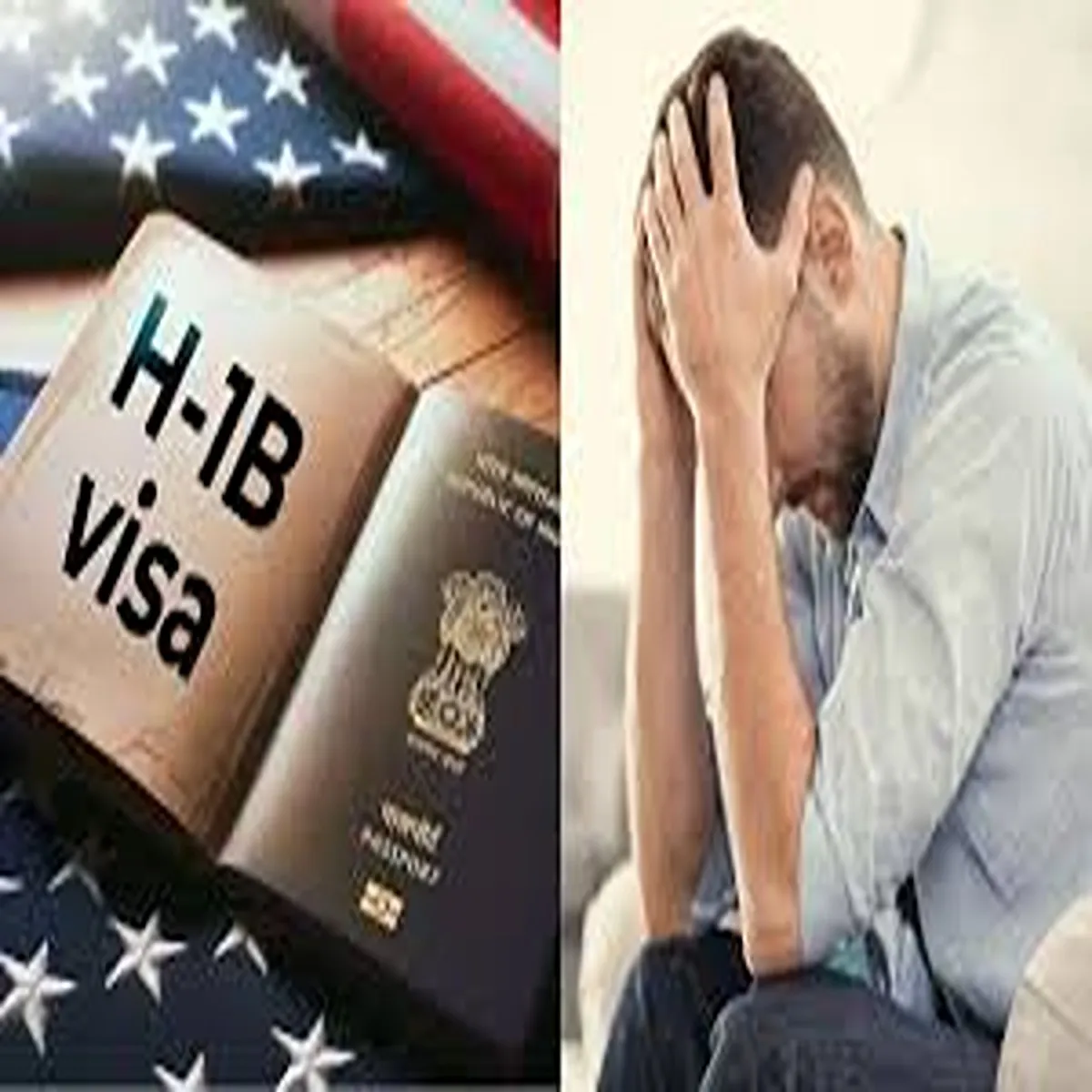 Immigration reviews visa cases linked dei