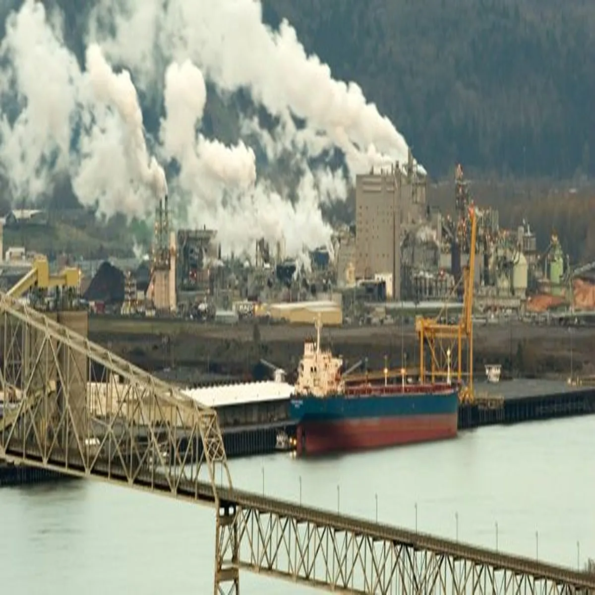 Industrialaccident washington paper mill disaster leaves