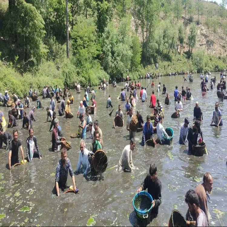 Waterconservation kashmir spring tradition