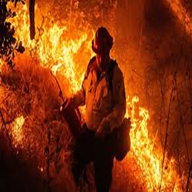 Wildfire ventura county evacuation crisis