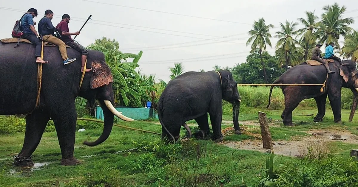 Wildlife elephant leopard movements raise alarm
