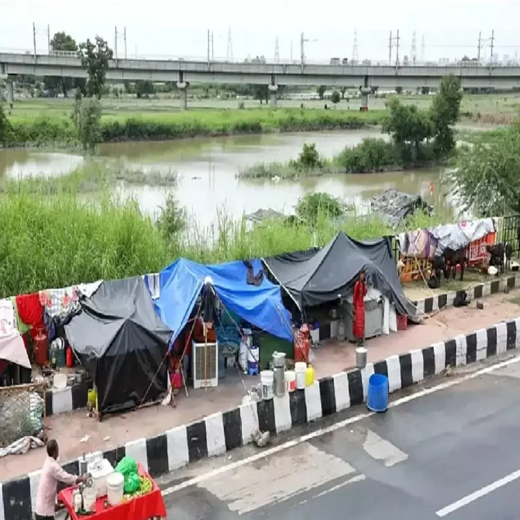 Yamuna floodplain eviction plea rejected
