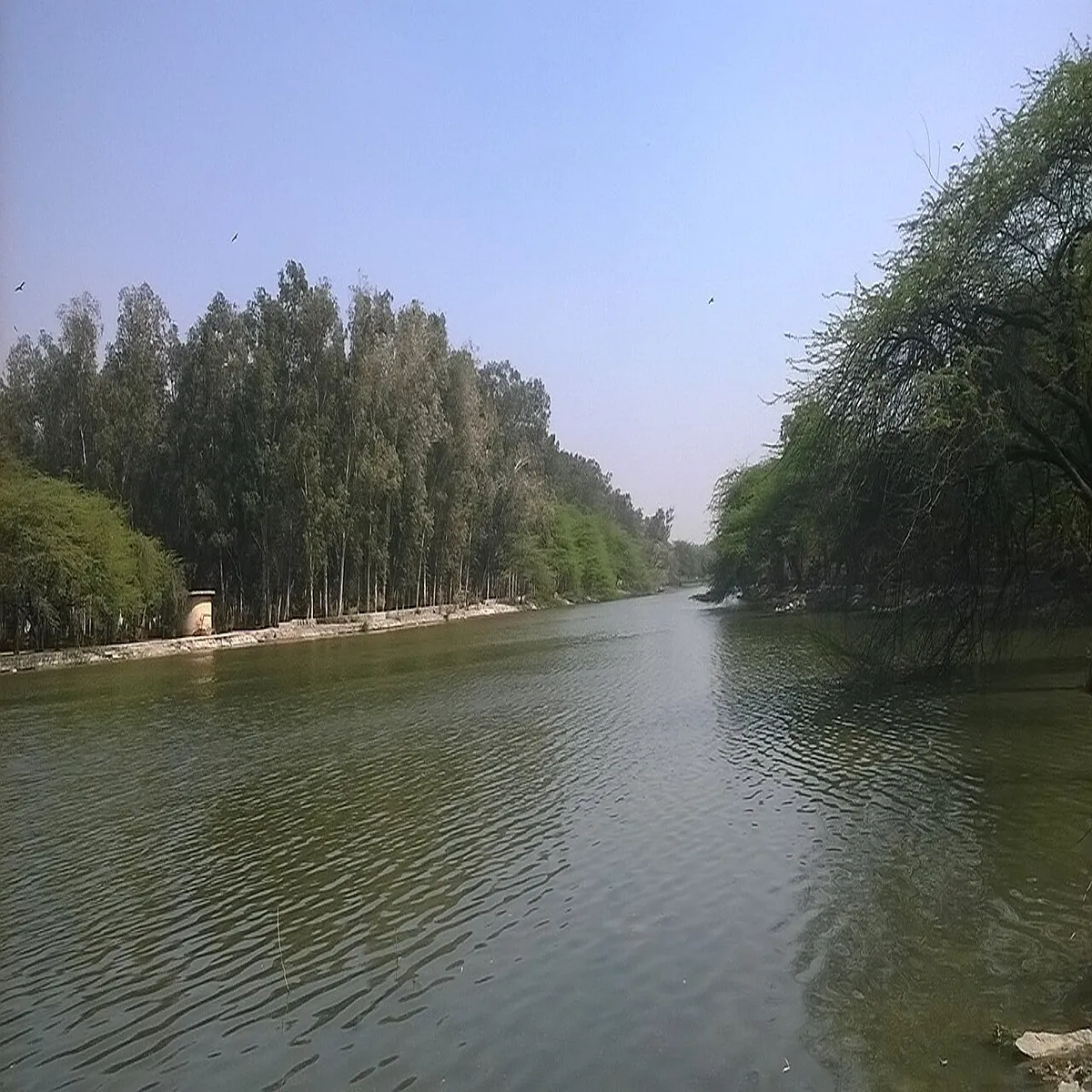Sanjay lake delhi begins phased restoration