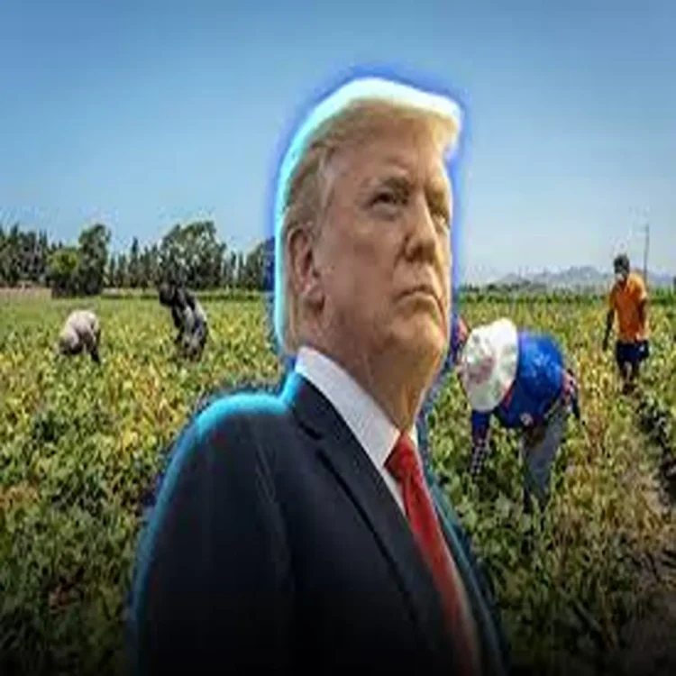 Agriculture trump farm cost relief export growth