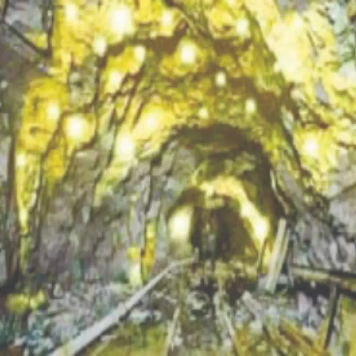 Goldmining andhra pradesh set launch major
