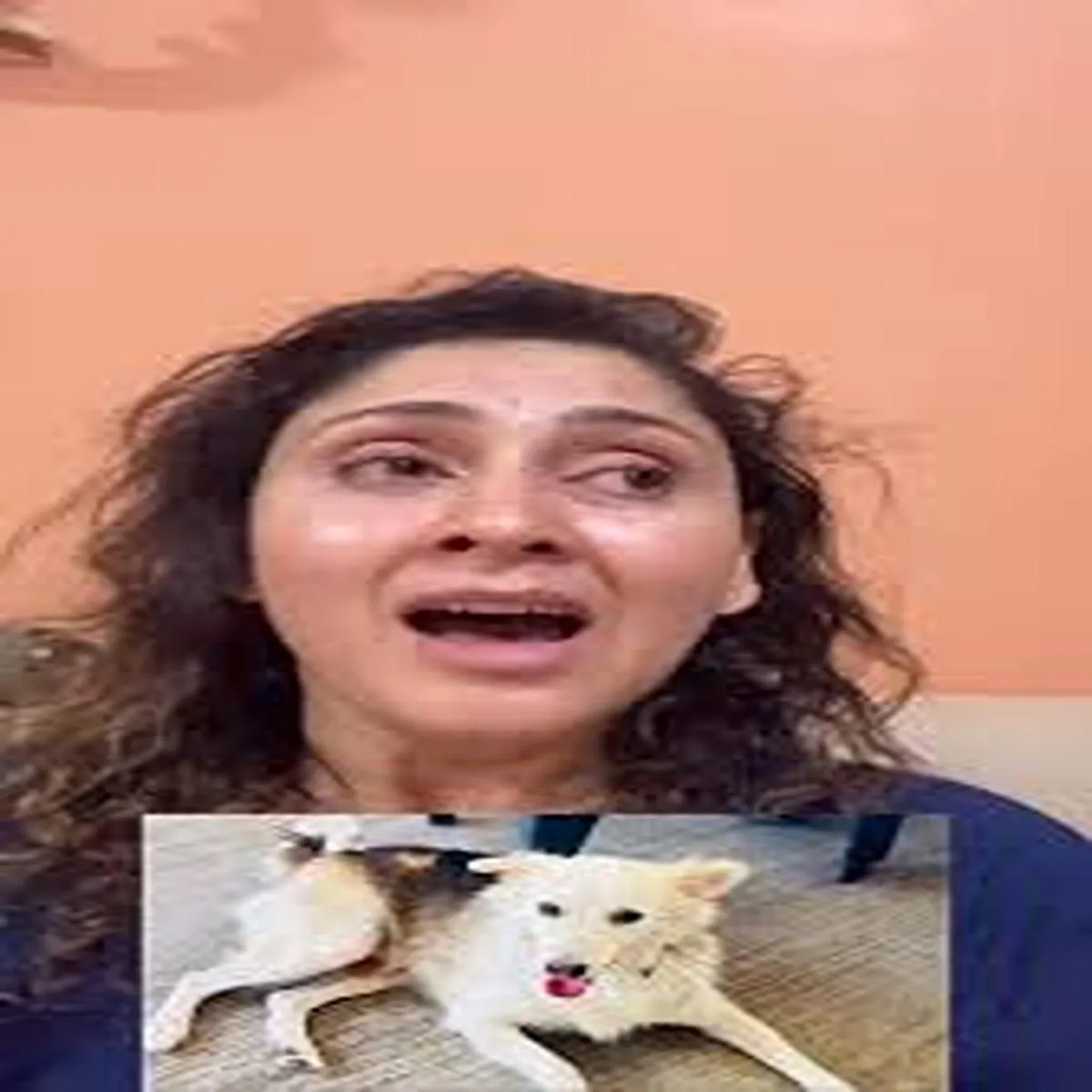 Animalcruelty manjari fadnnis raises voice after