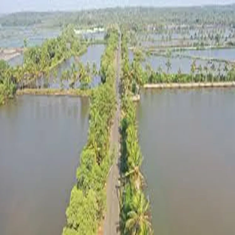 Aquaculture andhra seafood growth corridor