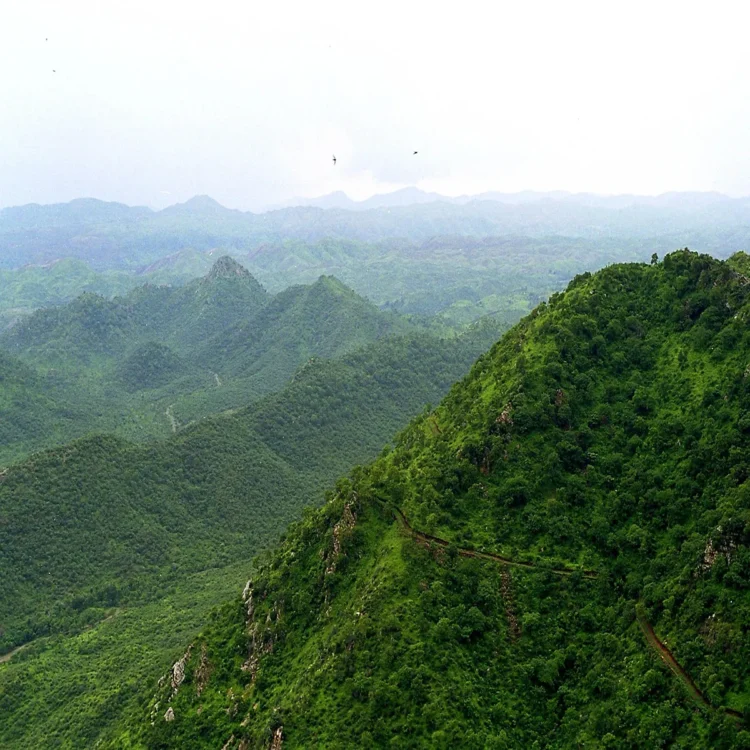 Aravalli panel expert representation concerns