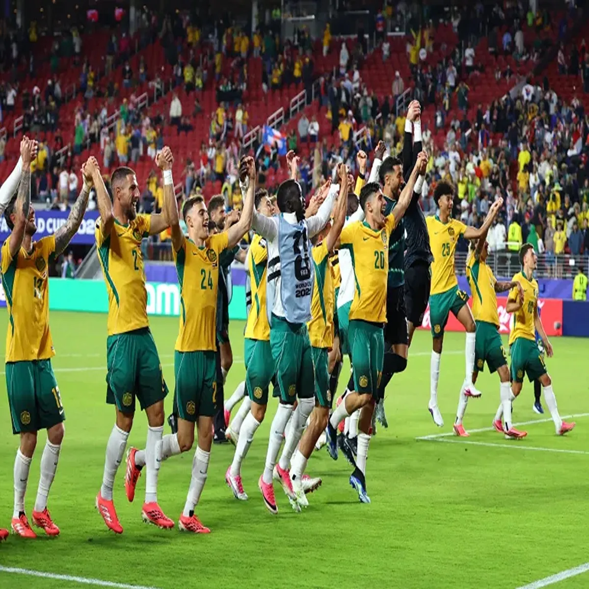 Football australia reach fifa world cup