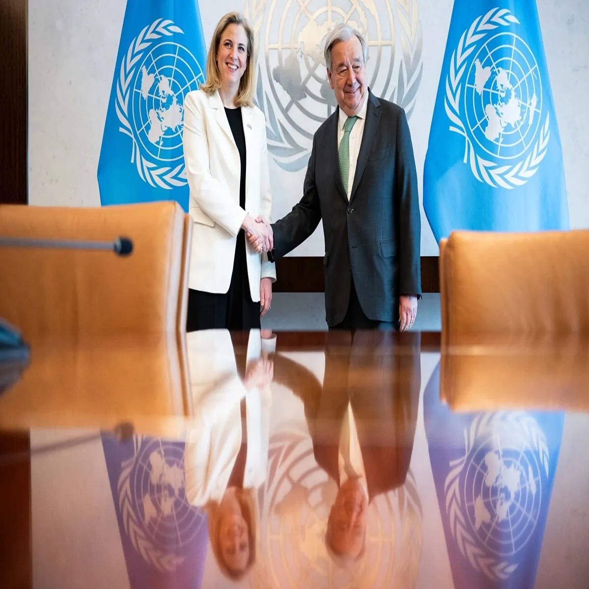 Diplomacy austria commits defending multilateral cooperation