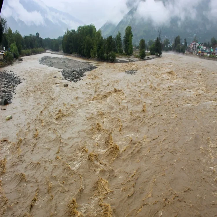 Bhakra dam low inflow crisis