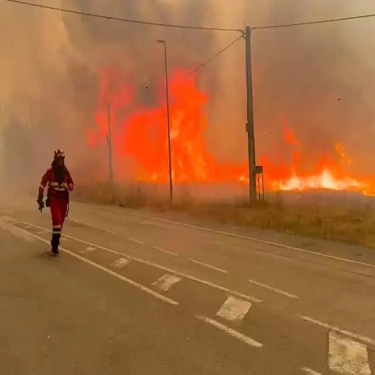 Climate change europe deadly heat wildfires
