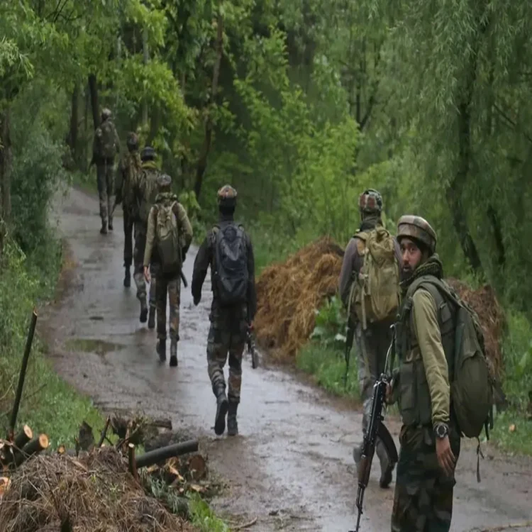 Counter terror operation rajouri search day 31