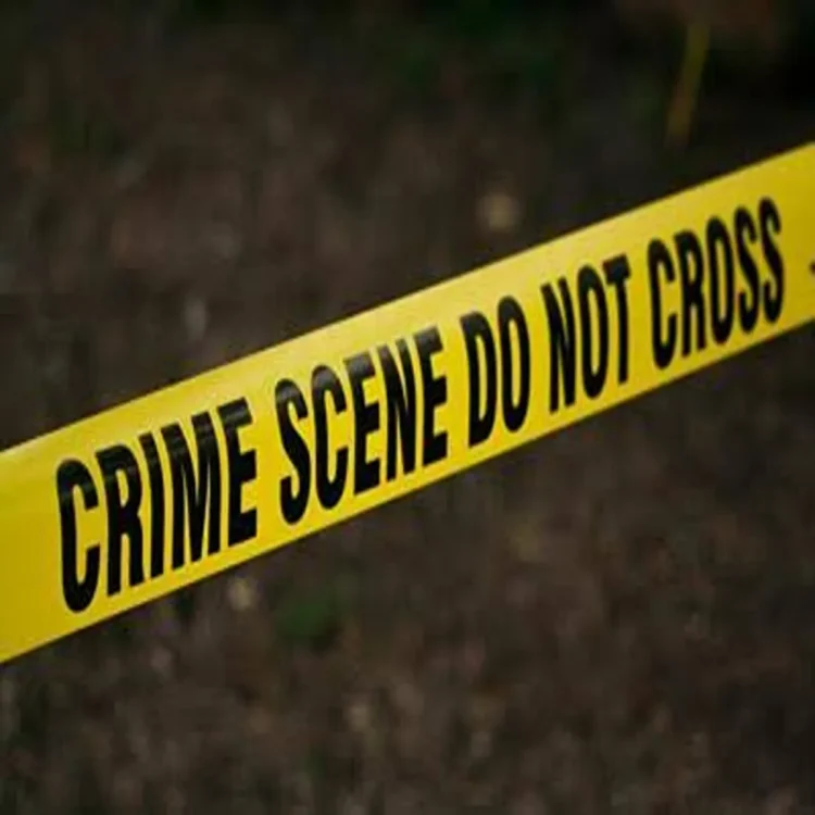 Crime in delhi rising criminal networks concerns